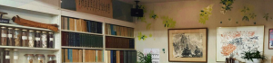 画像配置960×225
